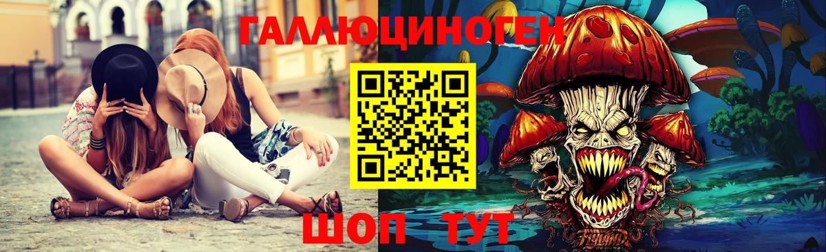 Псилоцибиновые грибы Psilocybe  Вход с VPN  Борзя 