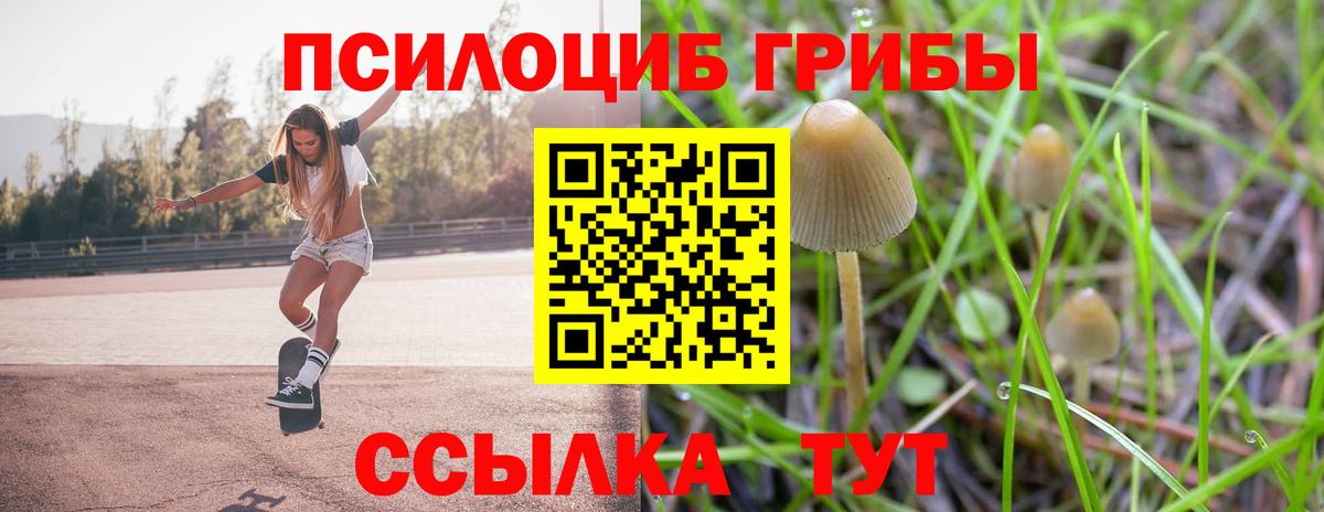 Псилоцибиновые грибы мицелий Борзя