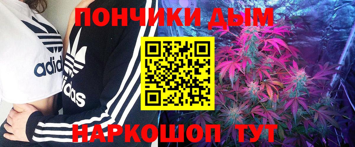 Борзя  Каннабис конопля  Шишки марихуана индика  Вход с VPN 
